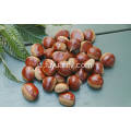 Fresh New Crop Good Price Delicious Chestnut